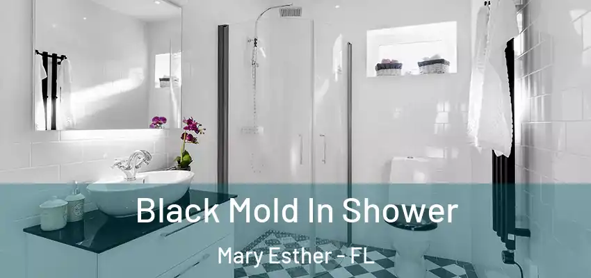  Black Mold In Shower Mary Esther - FL