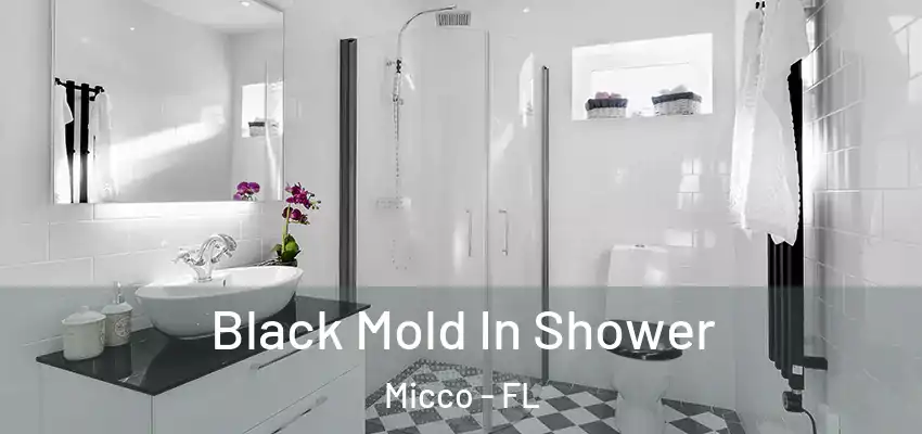  Black Mold In Shower Micco - FL