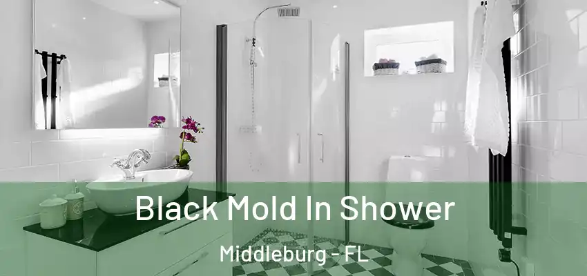  Black Mold In Shower Middleburg - FL
