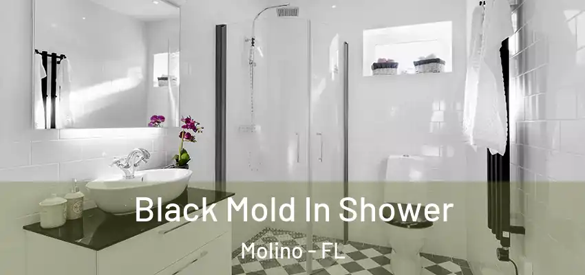  Black Mold In Shower Molino - FL