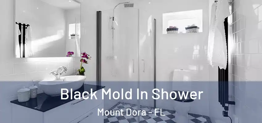  Black Mold In Shower Mount Dora - FL