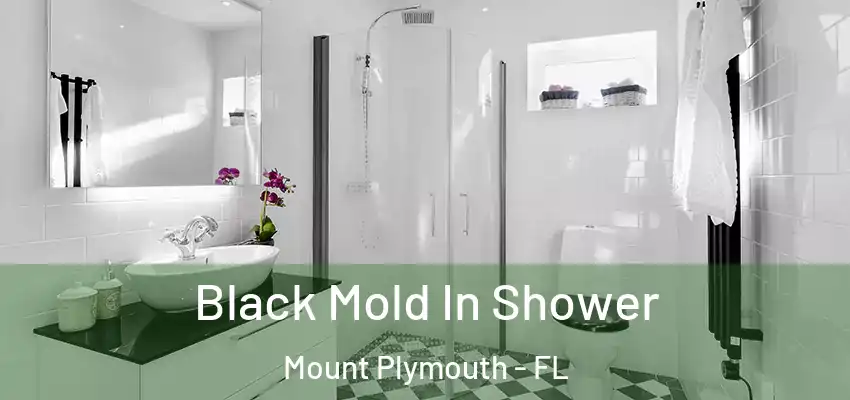  Black Mold In Shower Mount Plymouth - FL
