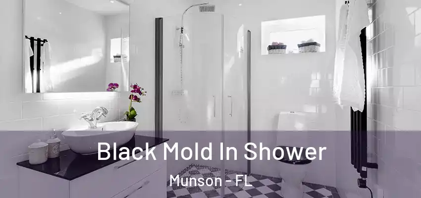  Black Mold In Shower Munson - FL