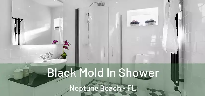  Black Mold In Shower Neptune Beach - FL
