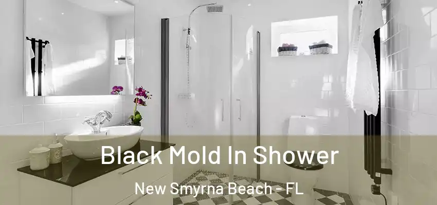  Black Mold In Shower New Smyrna Beach - FL
