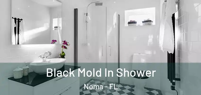  Black Mold In Shower Noma - FL