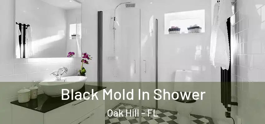  Black Mold In Shower Oak Hill - FL