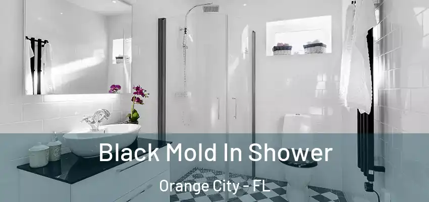  Black Mold In Shower Orange City - FL