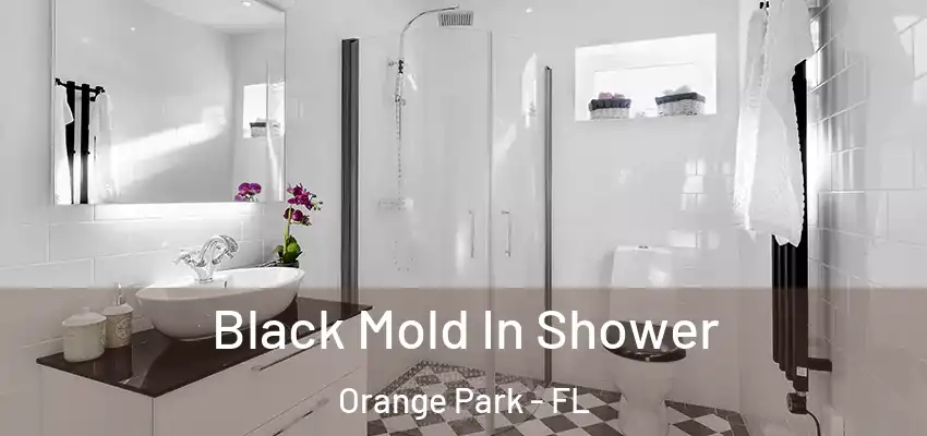  Black Mold In Shower Orange Park - FL