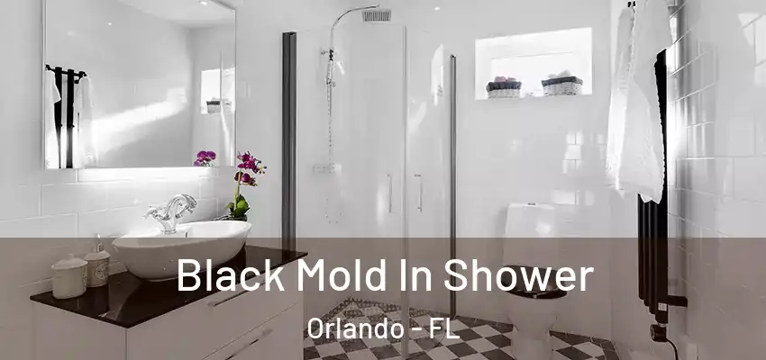 Black Mold In Shower Orlando - FL