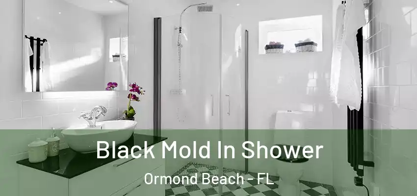  Black Mold In Shower Ormond Beach - FL