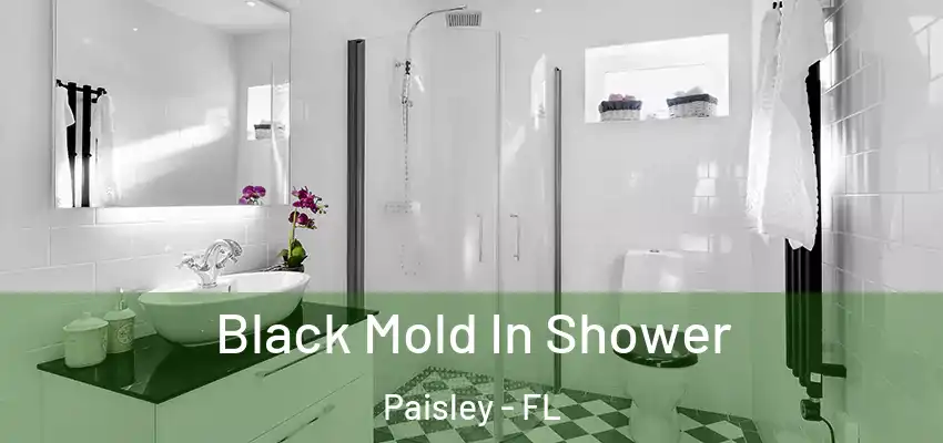  Black Mold In Shower Paisley - FL