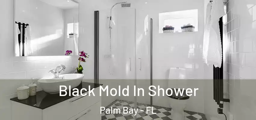  Black Mold In Shower Palm Bay - FL