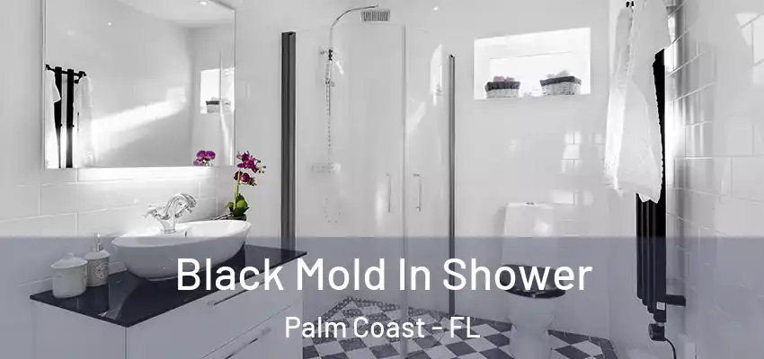  Black Mold In Shower Palm Coast - FL