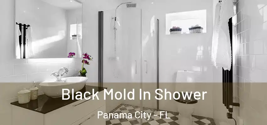  Black Mold In Shower Panama City - FL