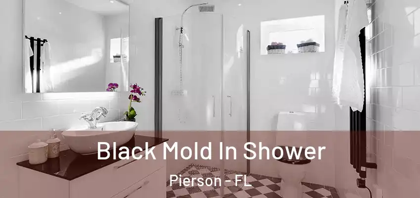 Black Mold In Shower Pierson - FL
