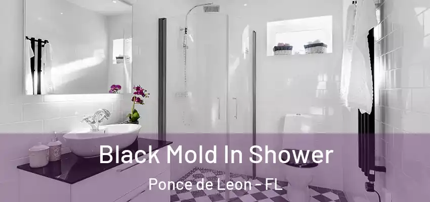  Black Mold In Shower Ponce de Leon - FL