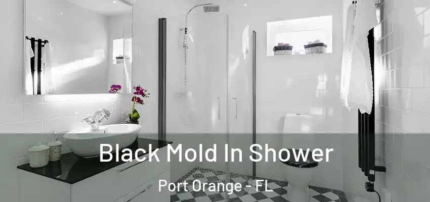  Black Mold In Shower Port Orange - FL