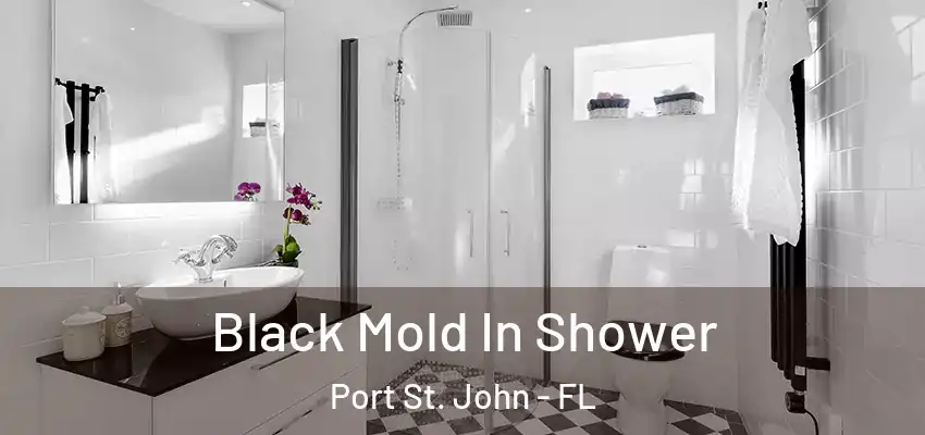  Black Mold In Shower Port St. John - FL