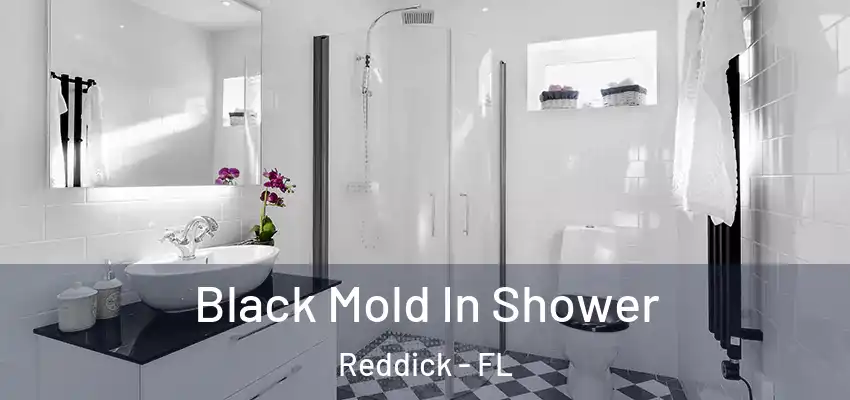 Black Mold In Shower Reddick - FL