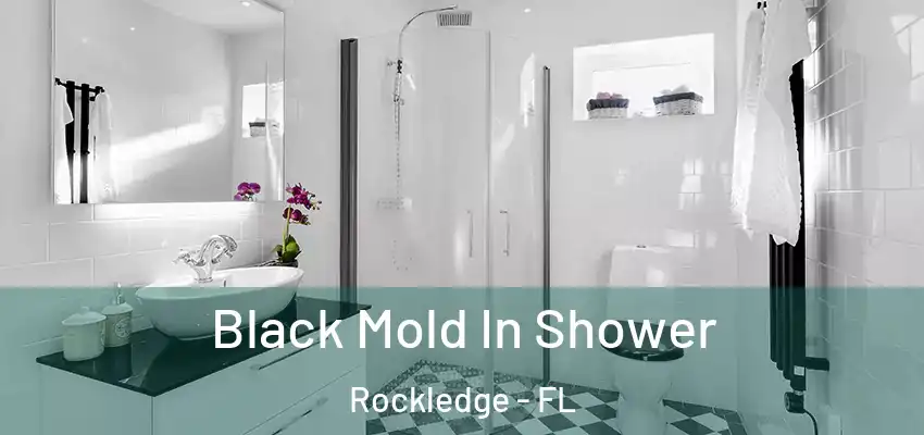  Black Mold In Shower Rockledge - FL