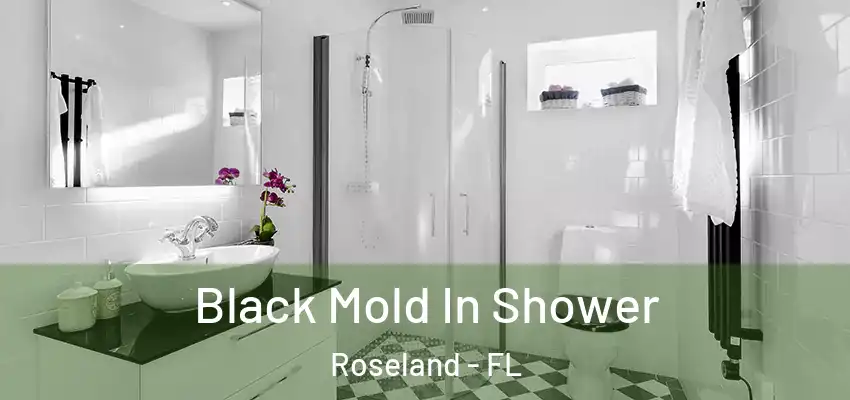 Black Mold In Shower Roseland - FL