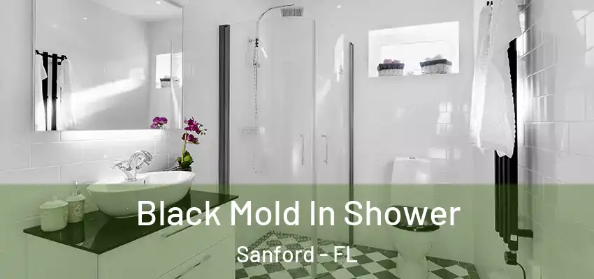  Black Mold In Shower Sanford - FL