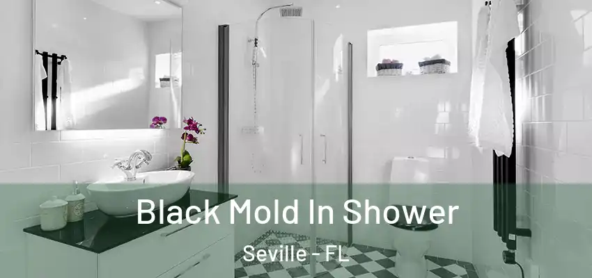  Black Mold In Shower Seville - FL