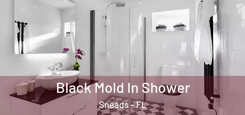  Black Mold In Shower Sneads - FL