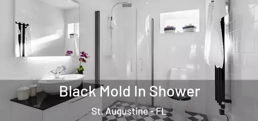 Black Mold In Shower St. Augustine - FL