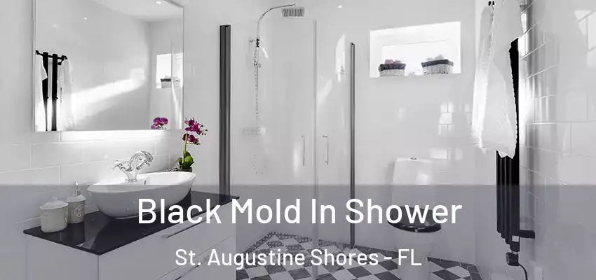  Black Mold In Shower St. Augustine Shores - FL