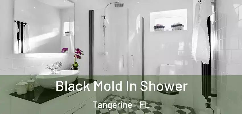  Black Mold In Shower Tangerine - FL