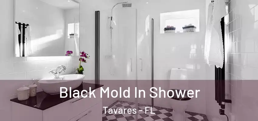  Black Mold In Shower Tavares - FL