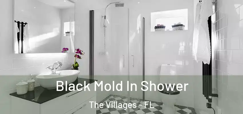  Black Mold In Shower The Villages - FL