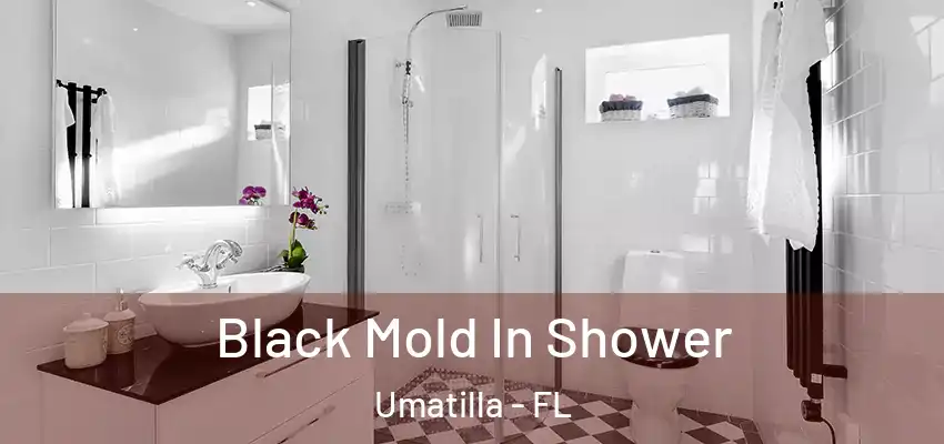  Black Mold In Shower Umatilla - FL