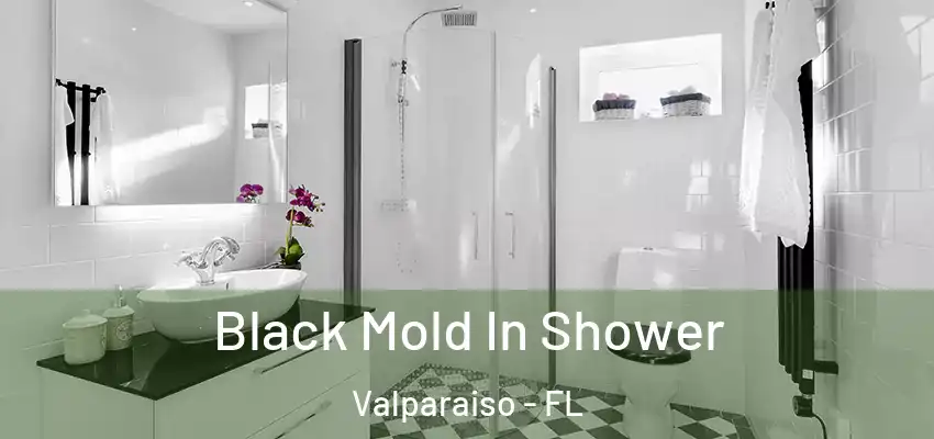  Black Mold In Shower Valparaiso - FL