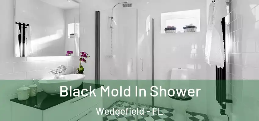 Black Mold In Shower Wedgefield - FL