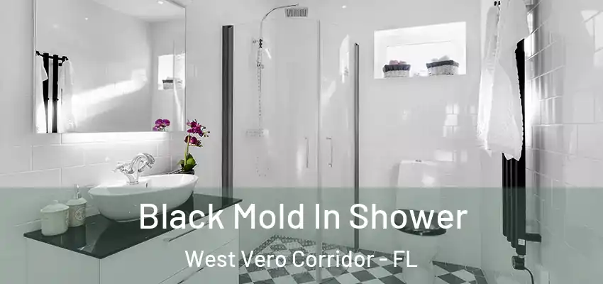  Black Mold In Shower West Vero Corridor - FL