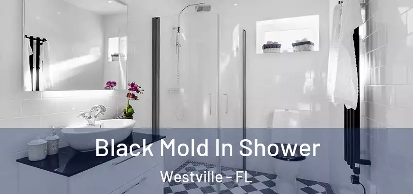 Black Mold In Shower Westville - FL