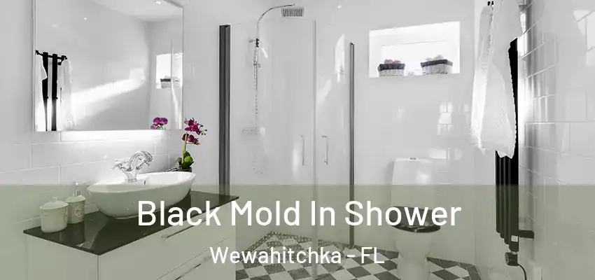Black Mold In Shower Wewahitchka - FL