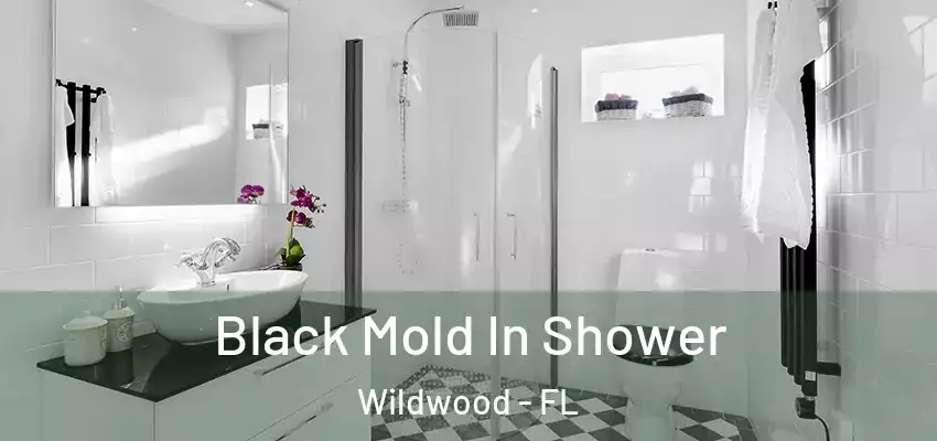  Black Mold In Shower Wildwood - FL