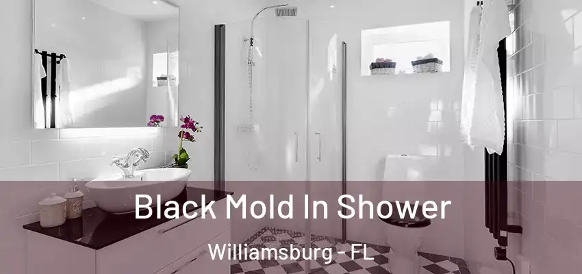  Black Mold In Shower Williamsburg - FL
