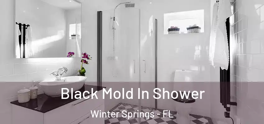  Black Mold In Shower Winter Springs - FL
