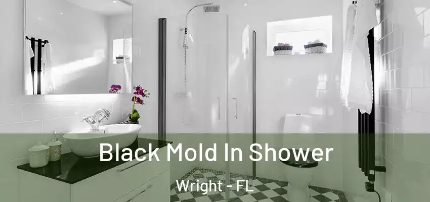  Black Mold In Shower Wright - FL