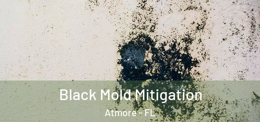  Black Mold Mitigation Atmore - FL