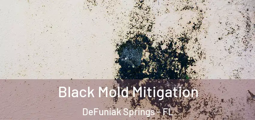 Black Mold Mitigation DeFuniak Springs - FL