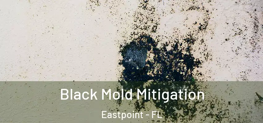  Black Mold Mitigation Eastpoint - FL
