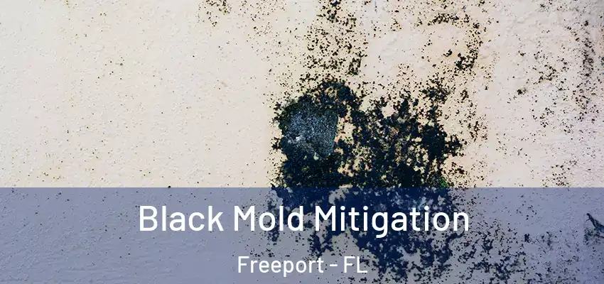  Black Mold Mitigation Freeport - FL
