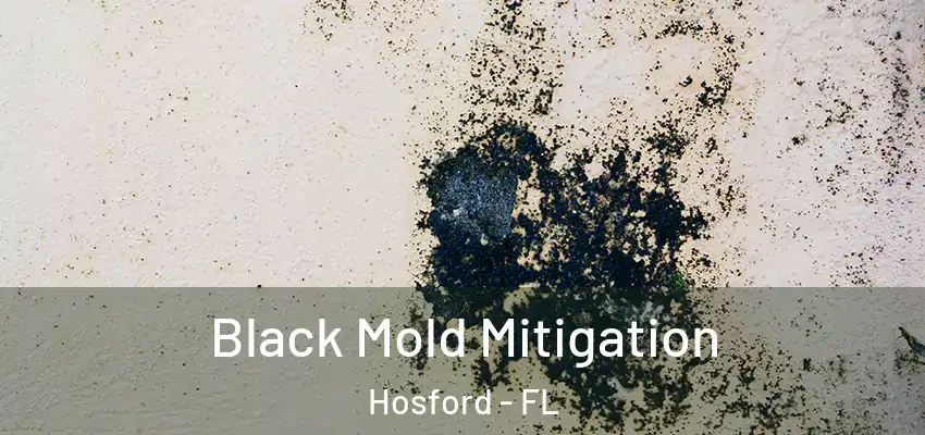  Black Mold Mitigation Hosford - FL