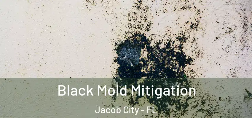  Black Mold Mitigation Jacob City - FL